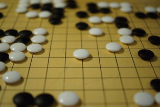 开云在线登入-世界围棋赛青年选手战术成熟引热议，2020世界围棋